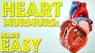 Heart Murmurs: The Ultimate Guide to Aortic & Mitral Sounds - Dr Gill
