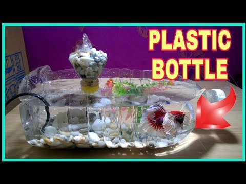 DIY PLASTIC BOTTLE FISH AQUARIUM! 