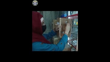 Visit leady breeder setup in Lahore Pakistan