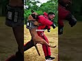 Este Malinois hace que el GSD se vea débil #comparación #shock