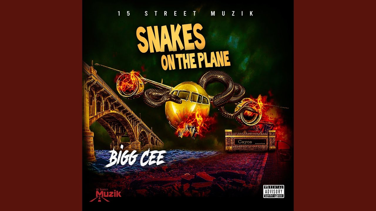 Mira Snakes On The Plane en YouTube Mira Snakes On The Plane en YouTube