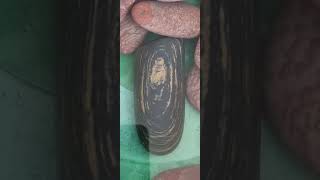 010-7170-6401 구입 판매 조경석 정원석 분재경매
