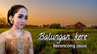 BALUNGAN KERE - Ndarboy Genk II Keroncong Version Cover