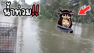 ถนนกลายเป็นแม่น้ำ!? ติดอยู่ในบ้านกลางน้ำท่วม!?