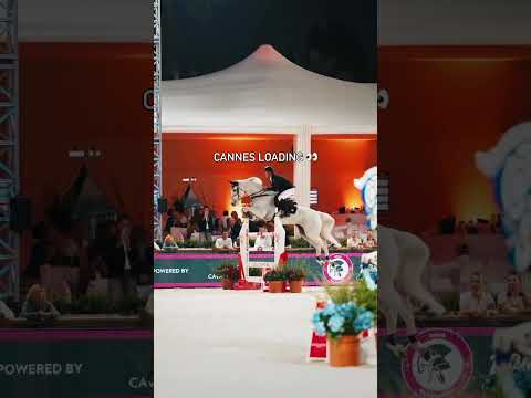 Horses and beaches say no more 👀🌊✨😍