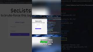 Hacking Passwords? Seclists Reveal Secrets! #cybersecurity #hacking #shorts