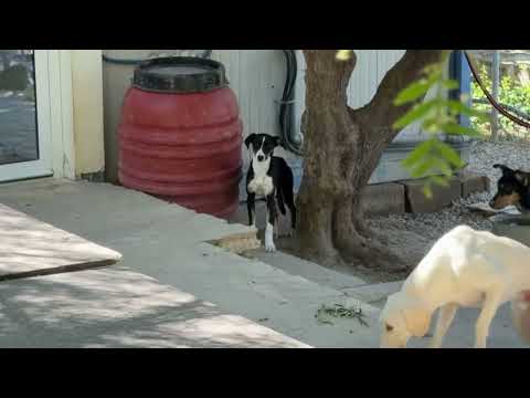 Zak & Zoe Are Finally Safe But Now Comes the Hard Part… - Takis Shelter