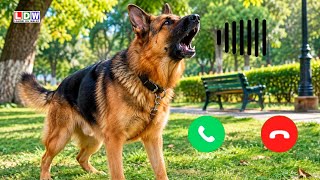 Dog Barking Sound Ringtone 🐶 | Real Dog Barking Sound | Dog Sound Effect