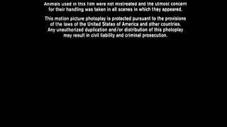 A Columbia Pictures Release 1997