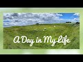 A Day in My Life