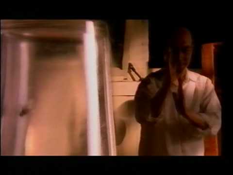 La Vie Video