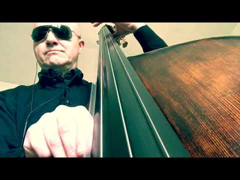 Fly Little Bird Fly Bass Line Play Along Backing Track