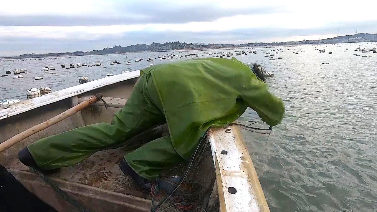 阿雄夫妇出海收渔网，各种鱼货上船有一大筐，卖了一些送了一些