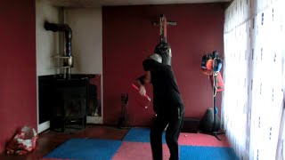 The eagle and the snake Universal martial art 18
