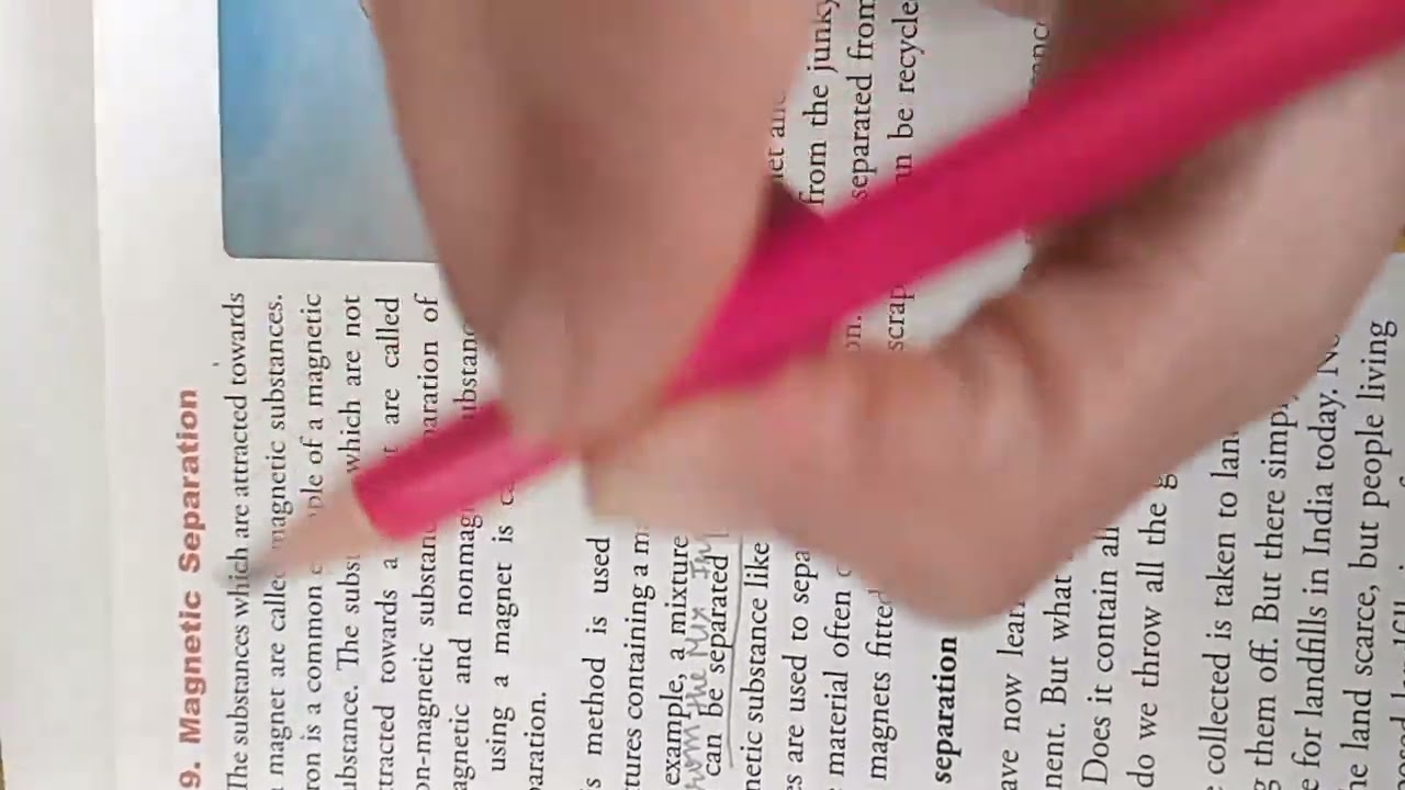 Class 6 chapter 9 Revision 