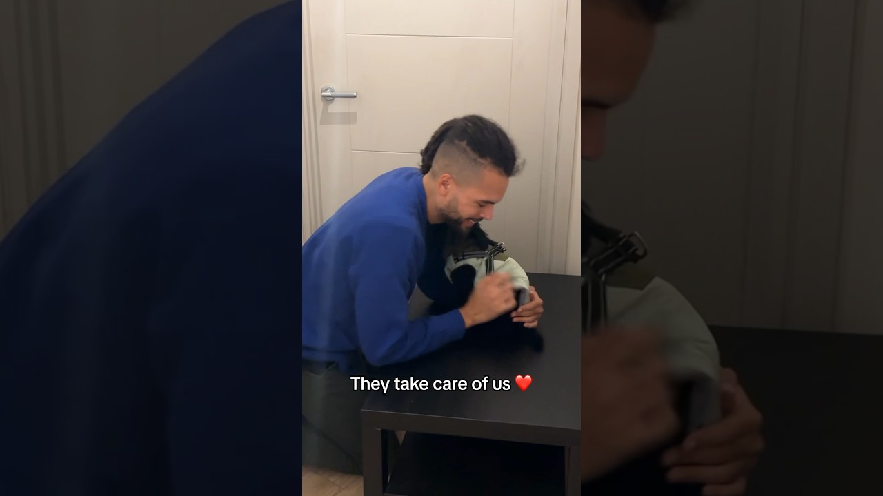 Getting a support dog to help with my anxiety disorder 