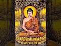 buddham sharnam gachhami#lordbuddha #status #temple #shortvideo #ancienthistory