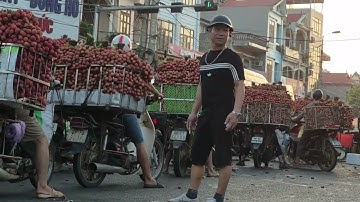 Ngắm toàn cảnh chợ Vải Thiều Lục Ngạn Bắc Giang Việt Nam ngày 26/6/2025 : Lanh Lục Ngạn