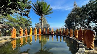 NIKAYA Thiền Quán - Buồn Đau Khổ Sầu Là Từ Yêu Thương - Kinh Ái Sanh 1