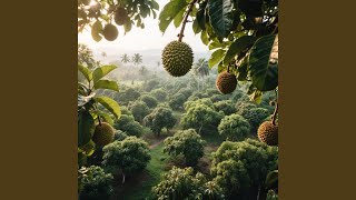 Riang Mimpi Hutan