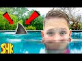 Huge Monster in Our Swimming Pool Challenge!