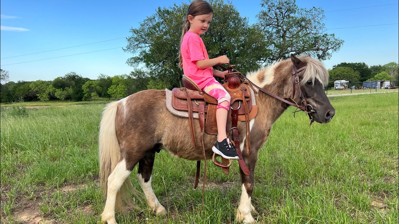 Sawyer riding Raisin in the yard - YouTube