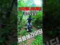 선자령질주 #eucchallenge #euc #shorts #sports #extreme #외발전동휠 #선자령 #offroad #외발충전휠 #전동휠