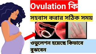 ovulation কখন হয়? কিভাবে বুঝবেন? কখন সহবাস করবেন? 100%chance থাকে prgnancy আসার ।