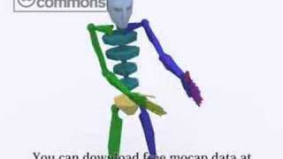 motion capture data Karate -jab-