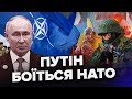 Путін ЗЛЯКАВСЯ НАТО. Його ПРИНИЗИЛИ на ДОНБАСІ (ВІДЕО)