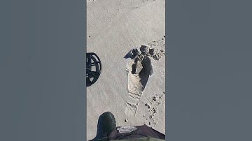 Metal Detecting on the Beach - Nokta Double Score Finds a Quarter!