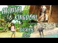 ANIMAL KINGDOM VLOG: CONOZCAN EL MEJOR JUEGO! - DISNEY DÍA 3