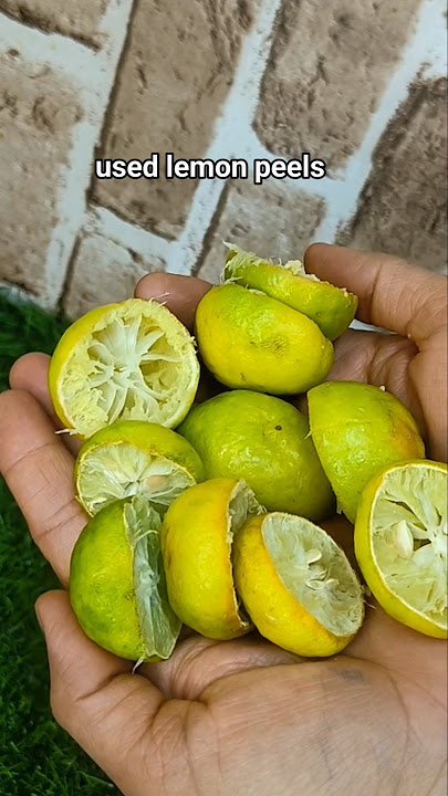 Download lagu Don't throw away used lemon peels#Diy Kitchen Cleaner#Homemade furniture cleaner#Smart Tips#shorts