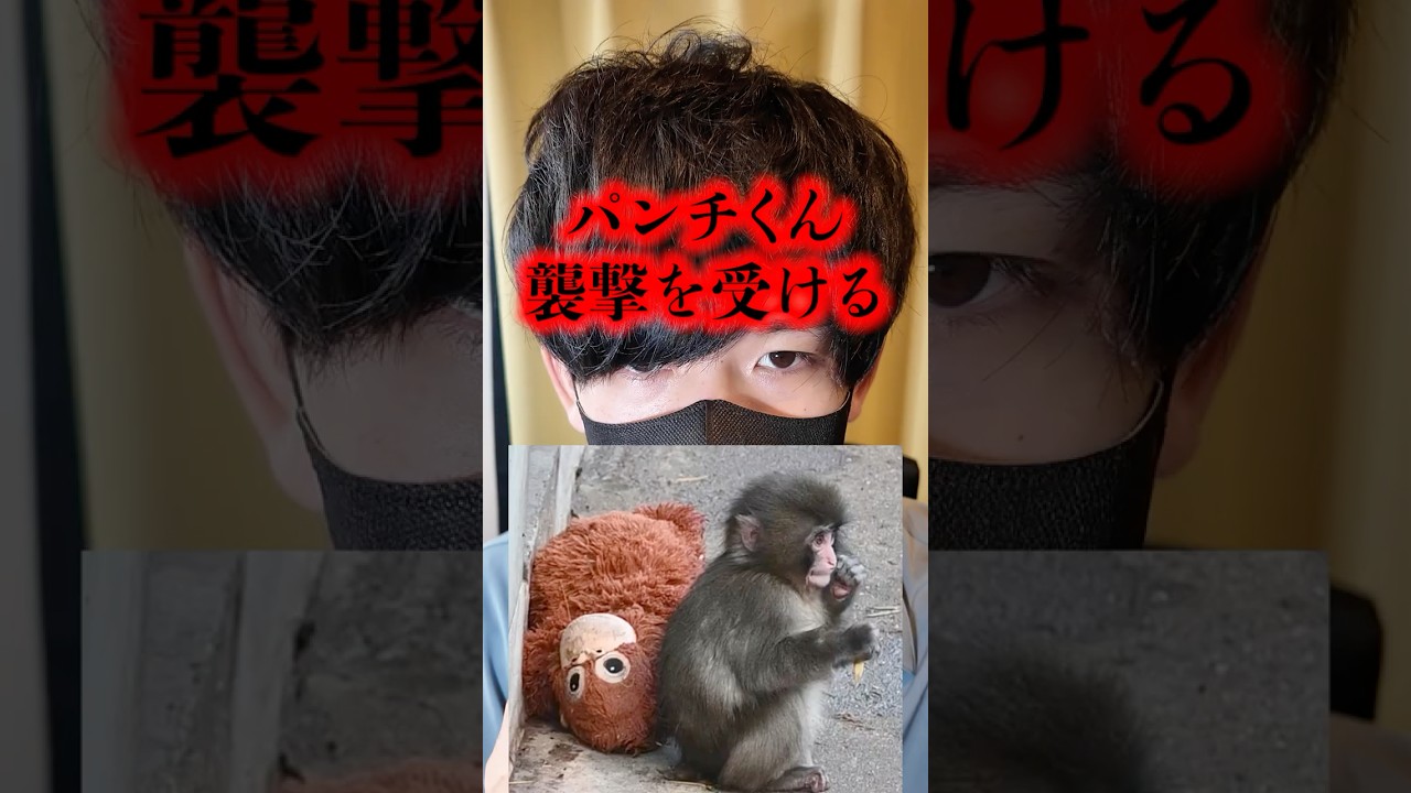 パンチくん襲撃される【2人逮捕】