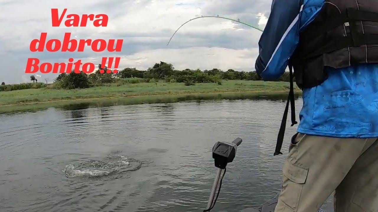 FEZ TANTA FORÇA QUE ACHEI QUE A VARA IA QUEBRAR !!  😱😱😱