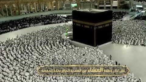 ' سورة فاطر  ٢٩ - ٣٧ ' الشيخ #ماهر_المعيقلي صلاة العشاء  ١١-١١-١٤٤٤ هـ