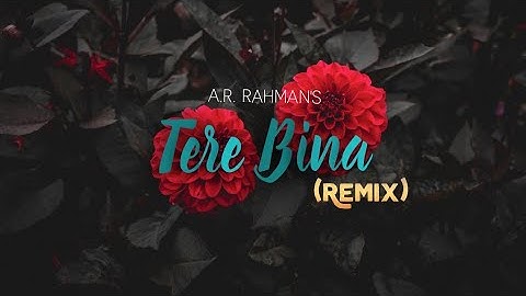 A.R. Rahman - Tere Bina (Remix) | UTTEEYA | Windy Beats