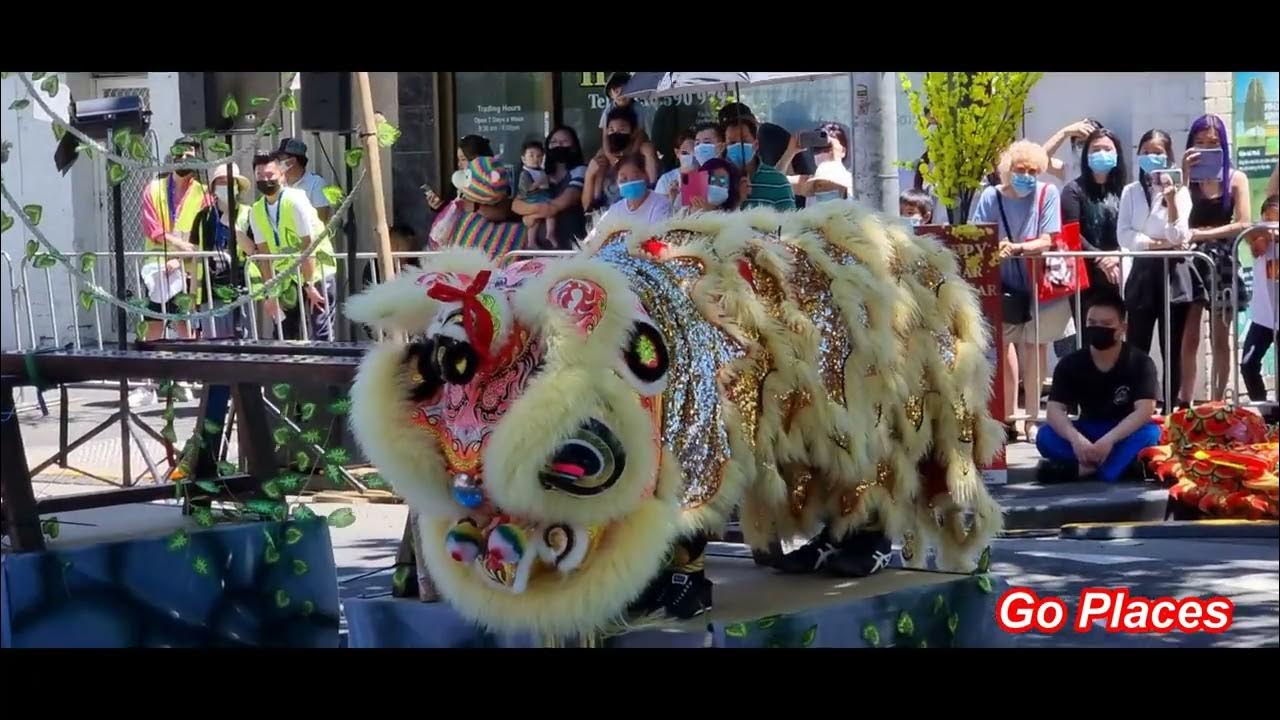 Lion Dance ( Múa Lân) at Footscray Lunar New year festival 2022 YouTube