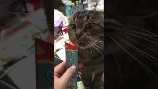 IMG 5369