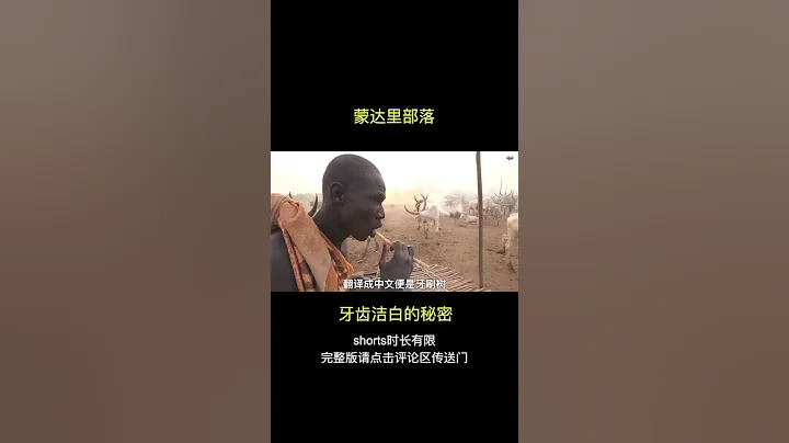 非洲蒙达里部落，牛尿洗脸刷牙，特制牙刷树树枝美白牙齿。 - 天天要闻