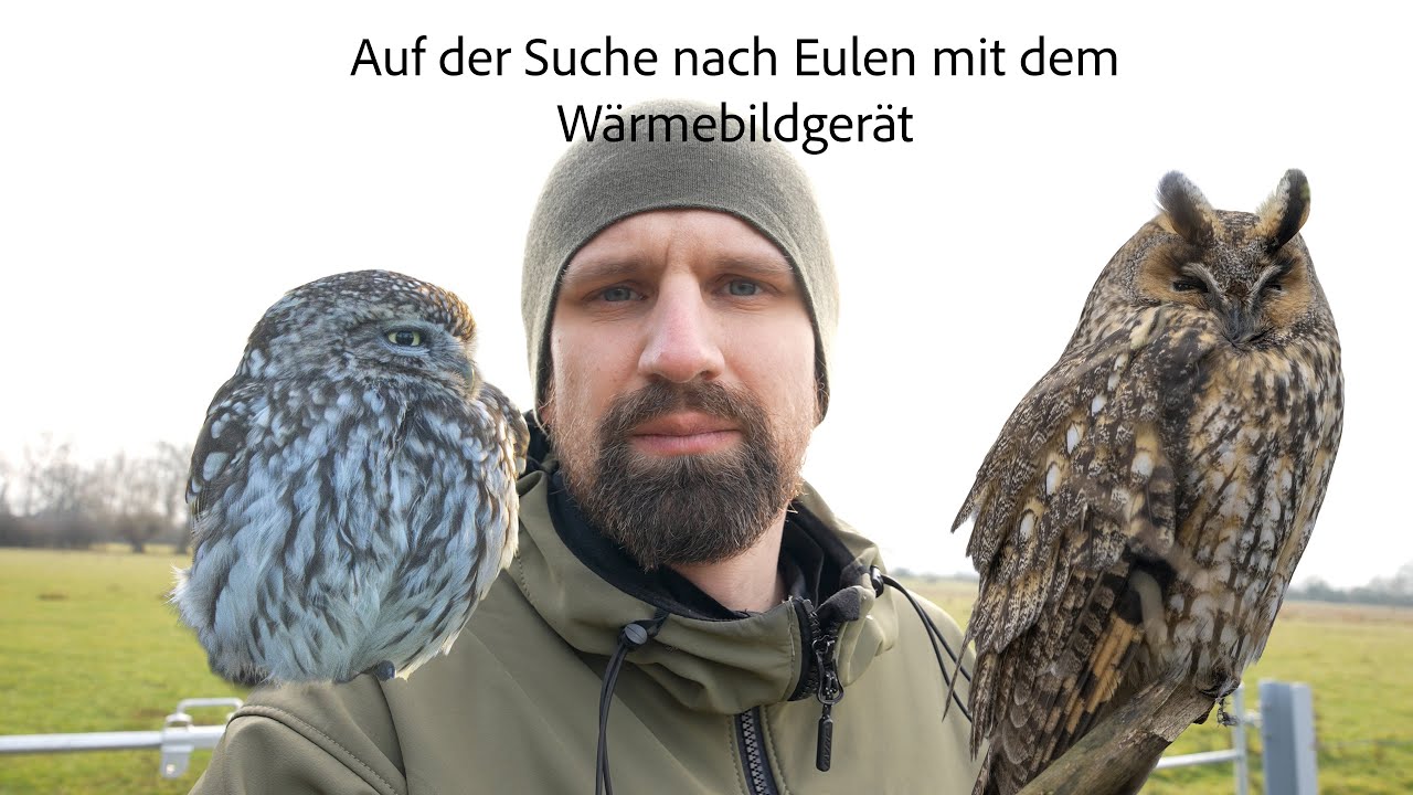 Wärmebildgerät bei der Suche nach Tieren /  Teil 1 Eulen