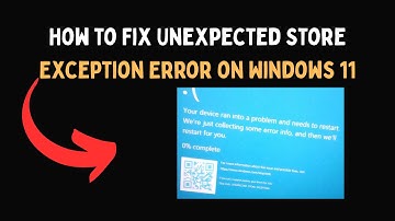 How to Fix Unexpected Store Exception Error on Windows 11