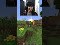 Minecraft Hide & Seek🤔 #minecraft #funny #memes
