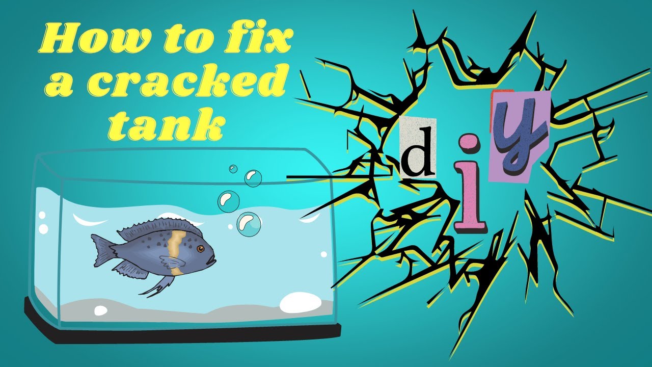 How To Fix a Cracked Aquarium D.I.Y YouTube