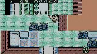 Links Awakening Glitching