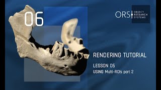 Rendering & Movie Making with Dragonfly #6 Using multi-ROIs part 2