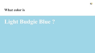 Light Budgie Blue color #9ed6e8 hex color - Blue color - Warm color 9ed6e8