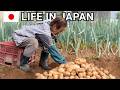【Living Alone in the Countryside】A Day in the Life of 93 y/o Grandma Kinoe | Japanese home garden