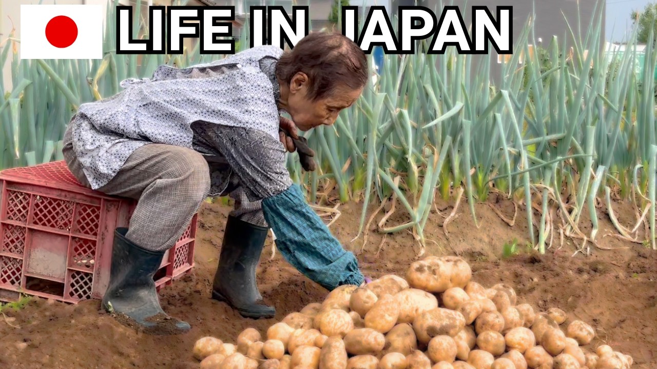 еплый день в деревне: как живет одинокая 93‑летняя бабушка на домашнем огороде