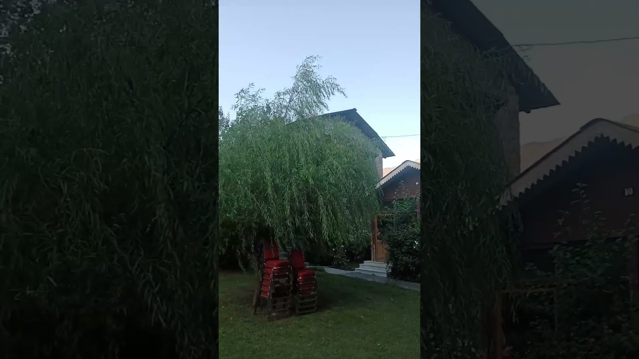 Mountain Inn hotel in Chitral